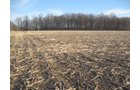 Property photo 16 - 44 Acres Offered in 3 Tracts